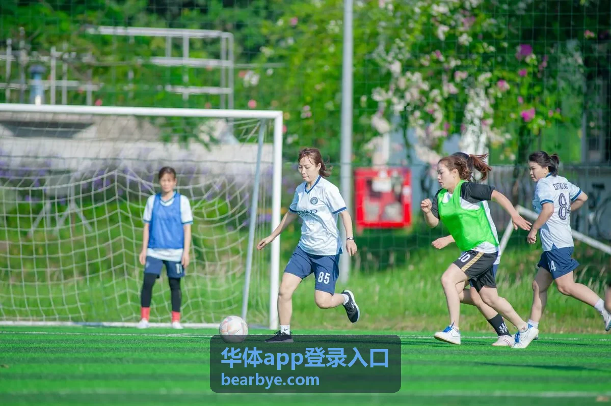 华体app登录入口用户反馈头像